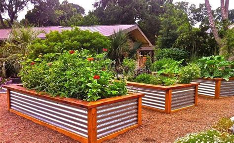 City Vegetable Garden Ideas Worth A Look Sharonsable