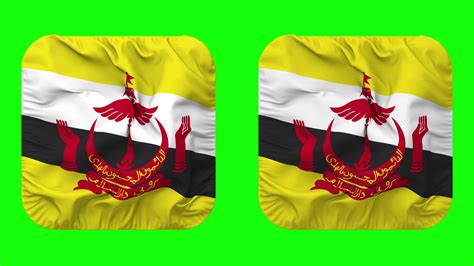 Brunei Flag In Squire Shape Isolated With Plain And Bump Texture D