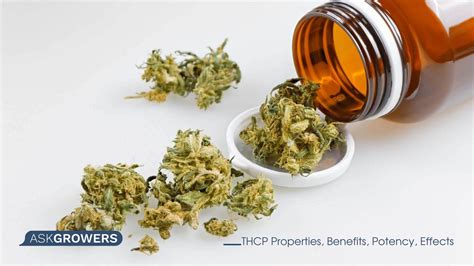 What Is THCP THC P THC P Cannabinoid AskGrowers