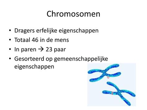 Erfelijkheid DNA Chromosomen Genen Fenotype Genotype Recessief