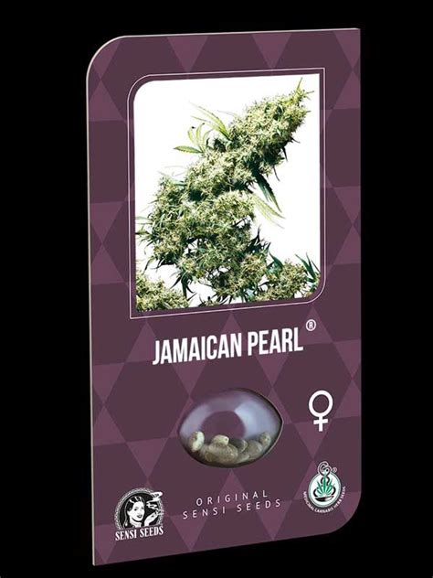 Jamaican Pearl Sensi Seeds Cannabissamen Aus Den Niederlanden