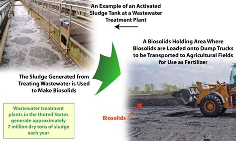 Biology Blog Biosolids Human Waste Or An Alternative To Agriculture