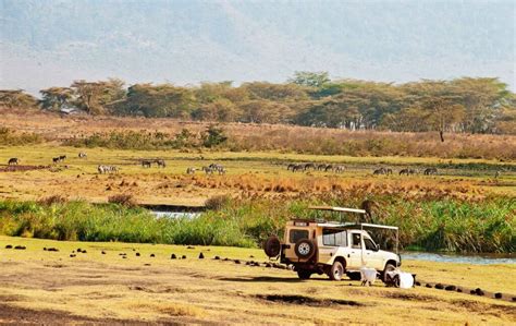 Day Serengeti Fly In With Ngorongoro Crater Safaris Without Borders