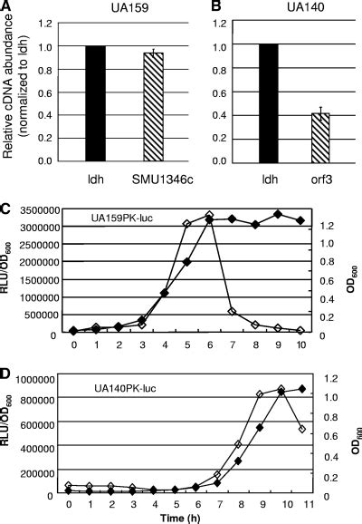 Genomic Island Tnsmu2 Of Streptococcus Mutans Harbors A Nonribosomal