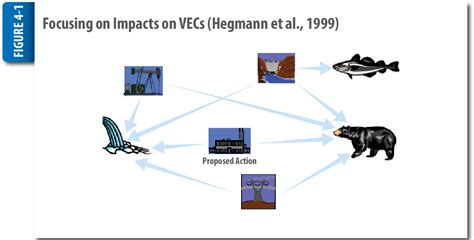 Figure 4 1 From Sample Guidelines Cumulative Environmental Impact