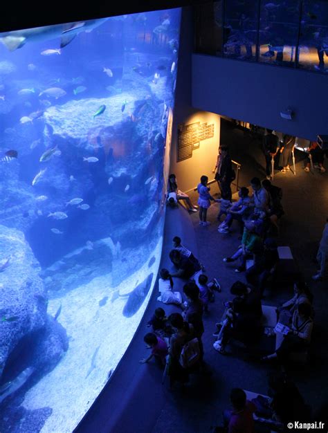 Aquarium Sumida Le Bassin Aquatique De La Tokyo Skytree