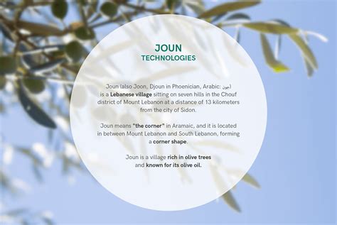 Joun Technologies - Liqwit Creative Firm