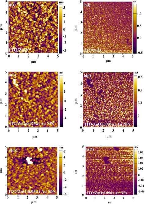 Conductive Atomic Force Microscopic C Afm Right And Topographic