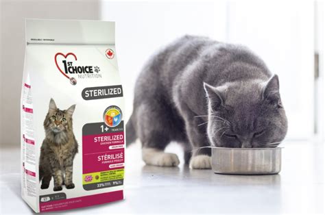 Кошачий корм: рейтинг продуктов для кормления кошек и котят от эконом ...