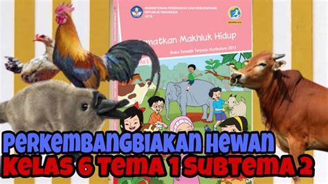 Perkembangbiakan Hewan Materi Kelas 6 Tema 1 Subtema 2 Muatan IPA