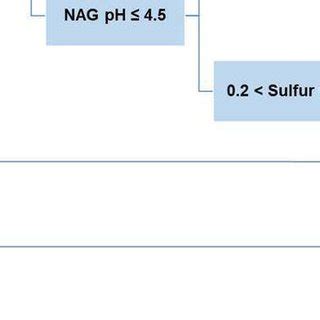 Process Flow Methodology For Onsite Waste Classification At Martabe