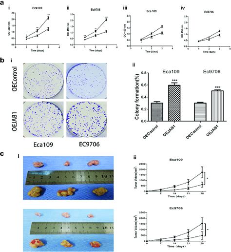 Jab1 Promotes The Proliferation Of Escc Cells A The Viability Of