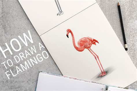 How To Draw A Flamingo Fun Flamingo Illustration Tutorial