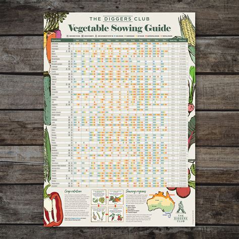 Diggers Vegetable Seed Sowing Guide The Diggers Club