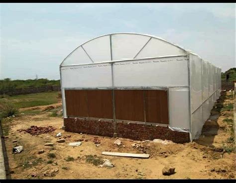 Prefab Rectangular Agriculture Fan Pad Polyhouse At 1400 Square Meter