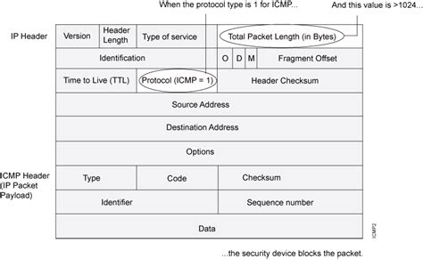 Icmp Packet Structure