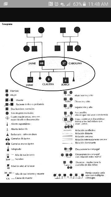 47 Genogram Templates In Pdf Artofit