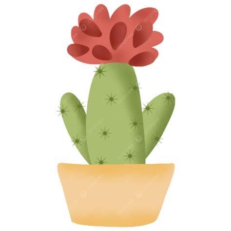 Cactus Plant, Plant, Cactus, Watercolor Cactus PNG Transparent Clipart
