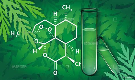 青蒿素的原料黄花蒿和分子式 Arteannuin Artemisia annua and its molecular formula 站酷海洛