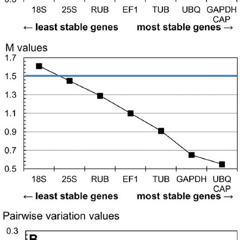 Genorm Ranking Of The Eight Candidate Reference Genes According To