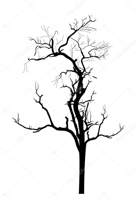 Dry Tree Silhouette Stock Vector by ©baavli 64421583