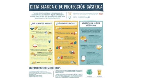 Qué Comer Con Gastroenteritis Y Qué Alimentos Evitar Sano Y Equilibrado