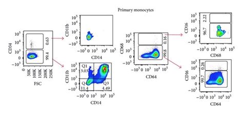 Phenotypic Characterization Of Monocytic Cell Lines And Primary