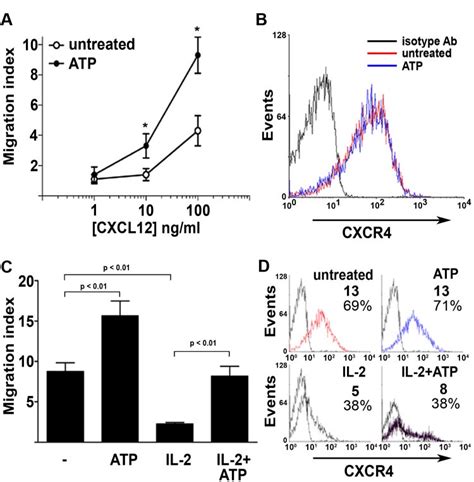 Atp Enhances Nk Cell Chemotactic Response To Cxcl A Migratory