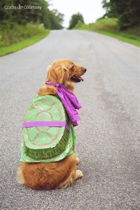 19 Adorable DIY Dog Costumes for Halloween