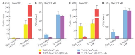 THP1 Dual KO IRF3 cells NF κB IFN reporter monocytes InvivoGen