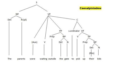 Contoh Tree Diagram Syntax 55 Koleksi Gambar