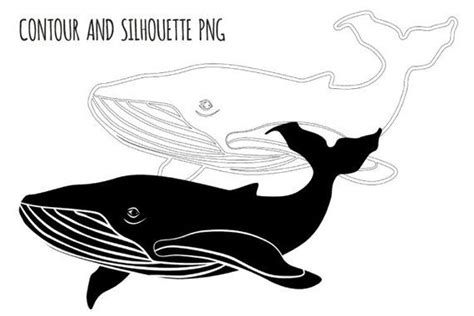 Whale Svg Humpback Whale Clipart Whale Mates For Life Ocean Dweller