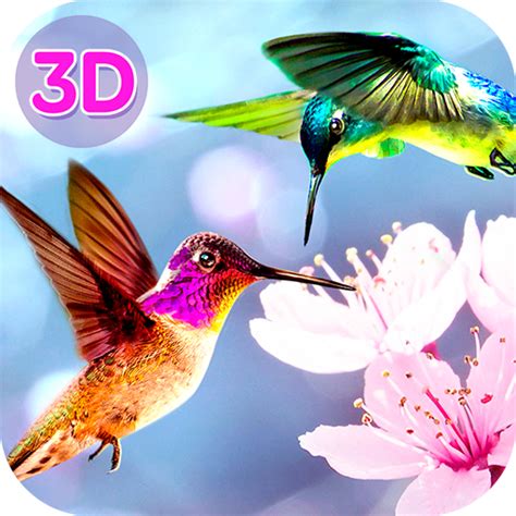 Humming Bird Wildlife Simulator Game Flower Eating Bright Color Dash