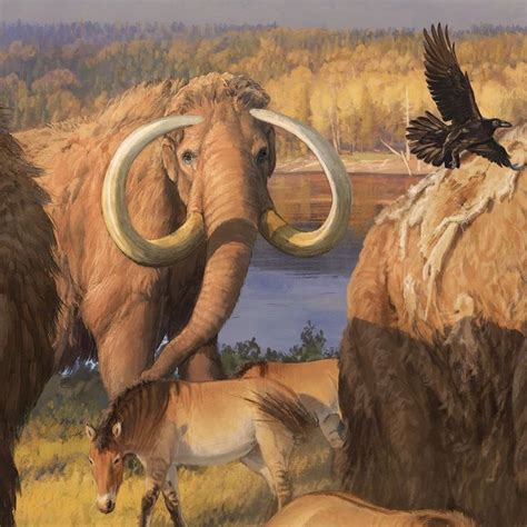 Pleistocene North America By Beth Zaiken Prehistoric Wildlife