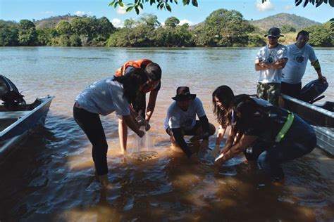 Guas Do Rio Celebra A Semana Mundial Do Meio Ambiente Limpeza Do