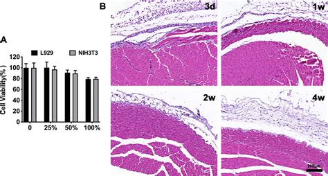 In Vitro And In Vivo Biocompatibility Of Hydrogel Platform A Effect Of