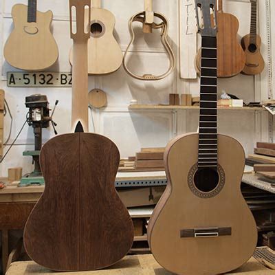 Estimar síndrome vecino que madera se usa para hacer guitarras vender