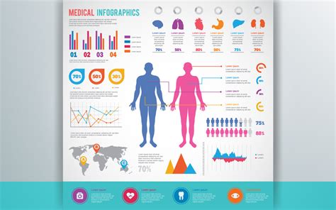 Human Body Infographic Template Design Graphic By Mehide021 · Creative