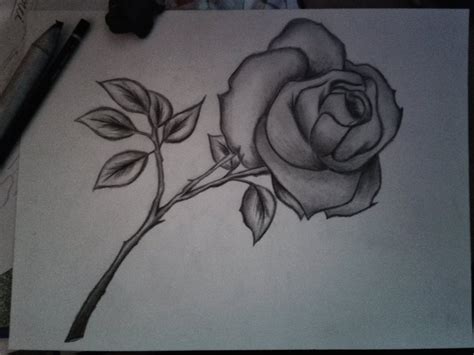 Heart And Rose Drawing In Pencil at GetDrawings | Free download