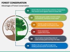 Forest Conservation PowerPoint And Google Slides Template PPT Slides