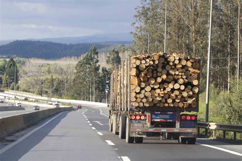 Interior ratifica promulgación de ley que tipifica robo de madera