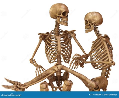 Skeletons Of Man And Woman In The Pose Of Lovers Isolated On White