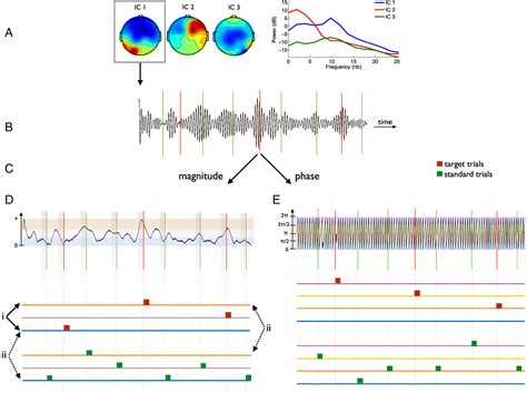 Figure From Prestimulus Eeg Alpha Oscillations Modulate Task Related