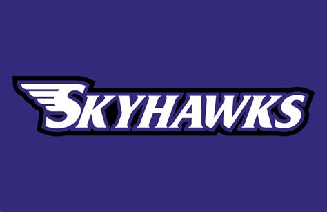 Stonehill Skyhawks Logo - Helmet Logo - NCAA Division I (s-t) (NCAA s-t ...