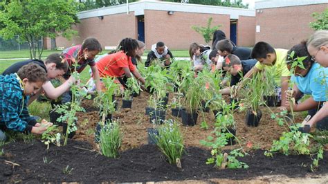 School And Community Gardens Bay Backpack