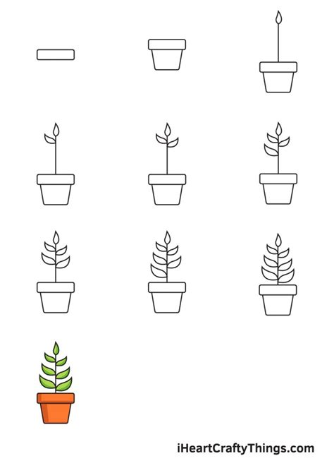 Plant Drawing - How To Draw A Plant Step By Step