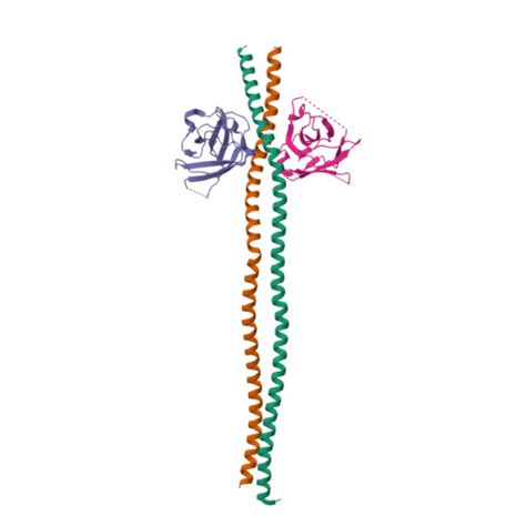 Rcsb Pdb Eaa Crystal Structure Of Ndp Skich Domain In Complex