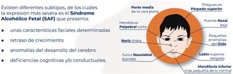 Salud y Prevención PAPPS Alcohol y embarazo Prevención de los