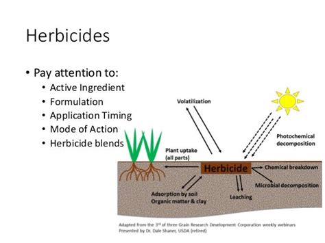 Weed Control Methods