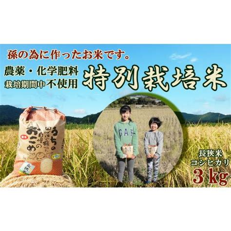 ふるさと納税 米 コシヒカリ 千葉県 鴨川市 令和6年新米 孫のために作りました 田代農園の『特別栽培米』《玄米》3kg 0010 0159